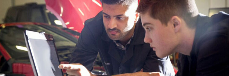 apprentices working on laptop